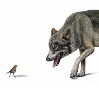 roodborstje en de wolf